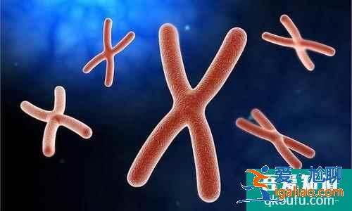 染色體做哪些檢查？