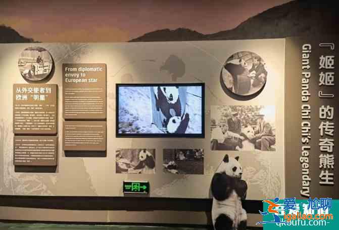 2021成都大熊貓博物館要不要門(mén)票？