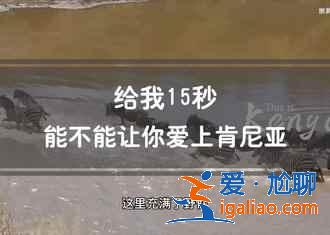 【肯尼亞旅游注意事項】肯尼亞旅游需注意什么? 【肯尼亞旅游注意事項】肯尼亞旅游需注意什么?