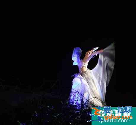 黃鶴樓夜游櫻花版對全國醫護人員免費？