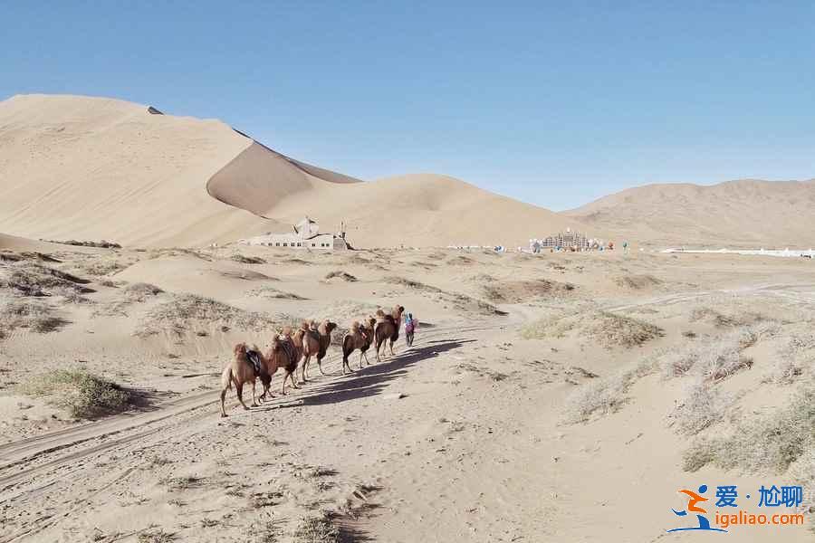 額濟納旗有什么好玩的地方，額濟納旗必去景點？