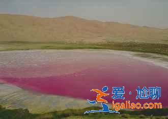 額濟納旗有什么好玩的地方，額濟納旗必去景點？