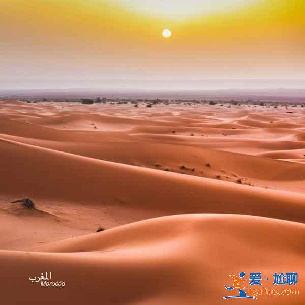 撒哈拉沙漠在哪，撒哈拉沙漠在哪個國家？