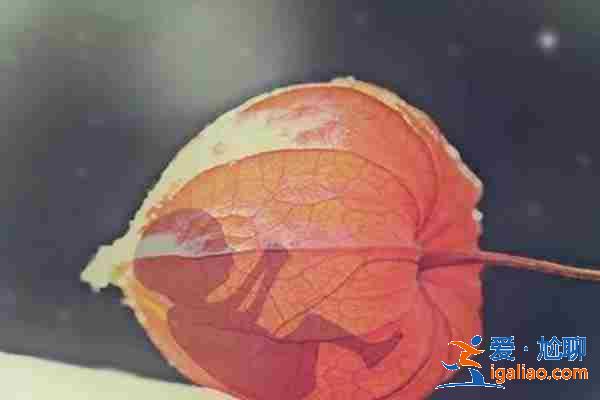 西安代媽最多的地方？