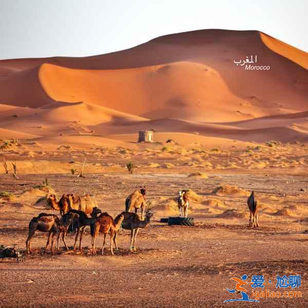 撒哈拉沙漠在哪，撒哈拉沙漠在哪個國家？