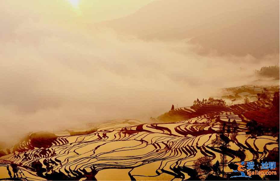 元陽梯田觀看指南（時(shí)間、觀看地點(diǎn)、攝影指南）？