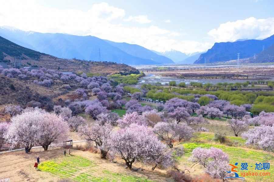 按月旅行，12個月旅行目的地推薦？