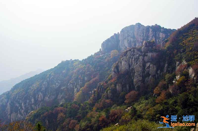 去泰山旅游住哪好，泰山山頂住宿多少錢？