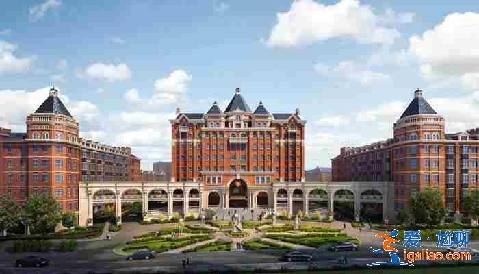 重慶代生寶寶公司-給大家詳細介紹下? 重慶代生寶寶公司-給大家詳細介紹下?