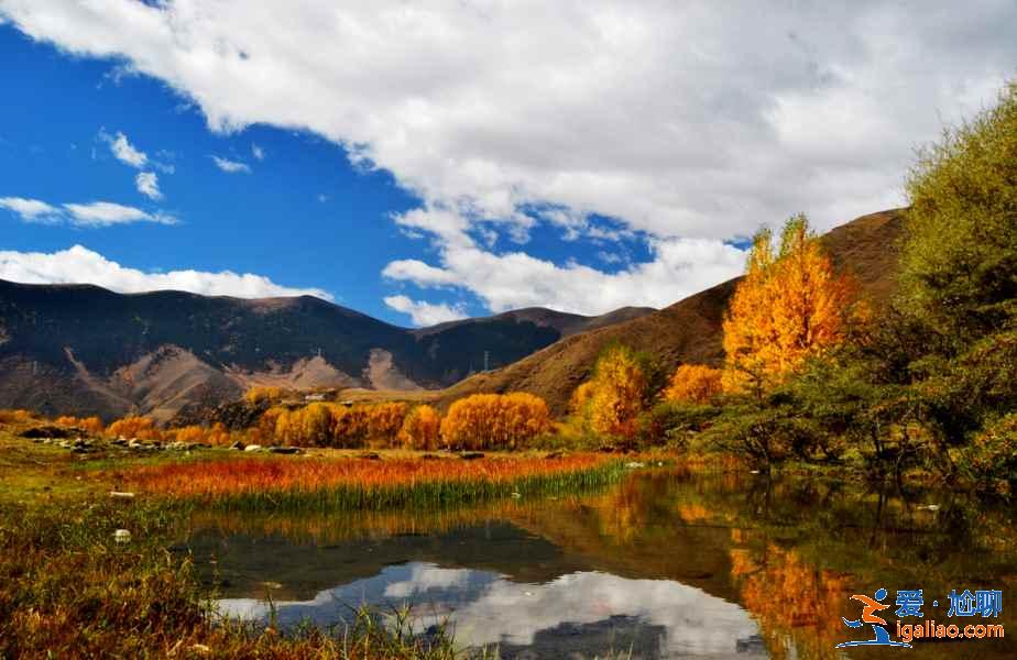 新都橋攝影指南（最佳拍攝地點(diǎn)、時(shí)間）？