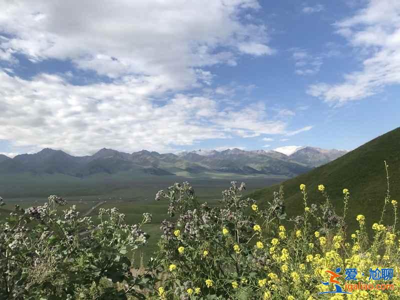 夏天去哪個草原好？馳騁中國美麗的六大草原？