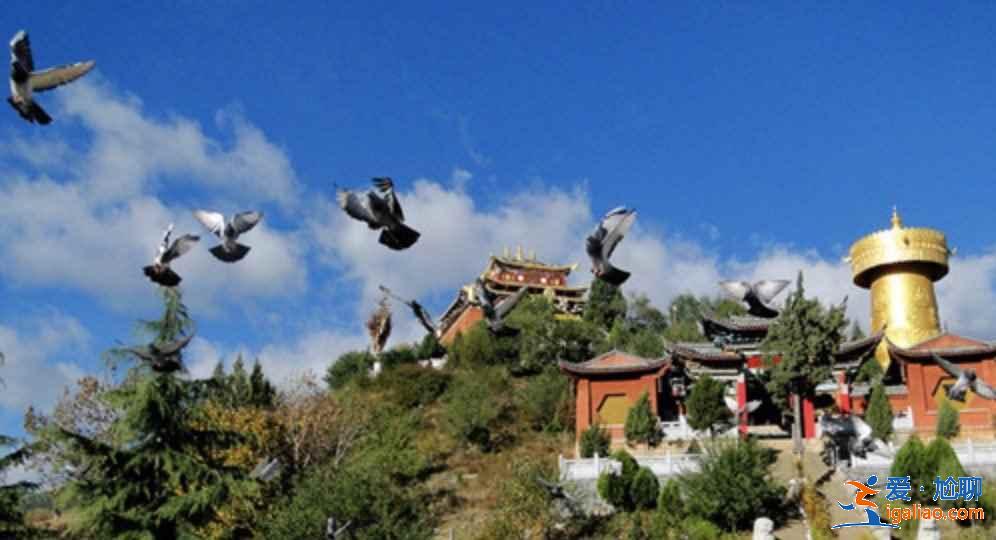 中國觀鳥去哪里？盤點國內觀鳥好去處？
