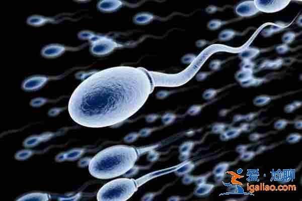 蘭州代生小孩機構，家庭幸福取決于？