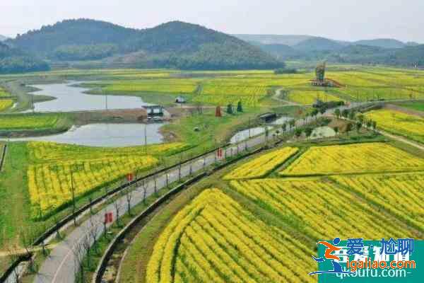 2021南京溪田油菜花開了嗎 南京溪田油菜花觀賞攻略？