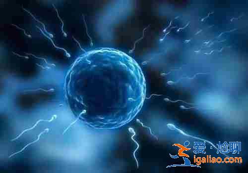 南昌借卵子生要多少錢-快來接好孕? 南昌借卵子生要多少錢-快來接好孕?