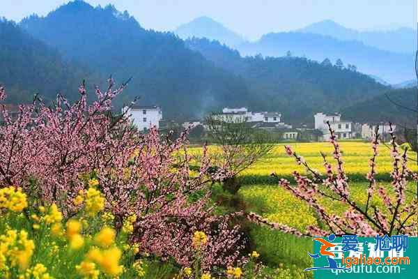 江西婺源旅游幾月份去最好 江西婺源必去的三個景點? 江西婺源旅游幾月份去最好 江西婺源必去的三個景點?
