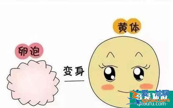 試管嬰兒過程痛苦嗎?？