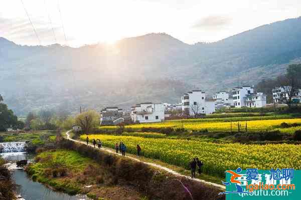 江西婺源旅游幾月份去最好 江西婺源必去的三個景點? 江西婺源旅游幾月份去最好 江西婺源必去的三個景點?