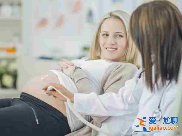 助孕電話是多少，有人可以告訴我嗎？？