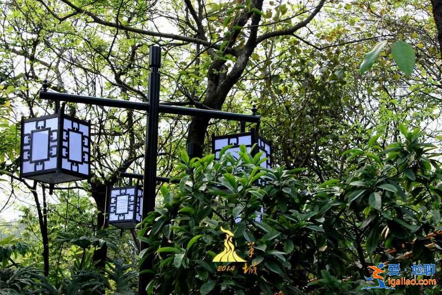 7座城市附近易爬山峰，城市里人的福利？