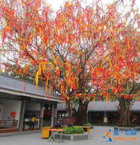 7座城市附近易爬山峰，城市里人的福利？