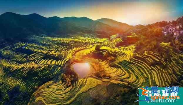 篁嶺油菜花開了嗎 2021婺源篁嶺花朝節時間及活動詳情？