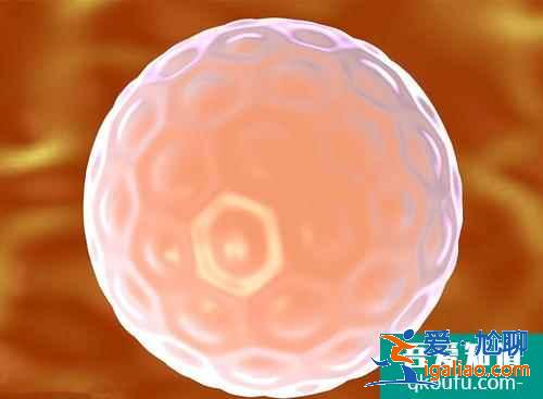 試管嬰兒移植之后幾天著床？？