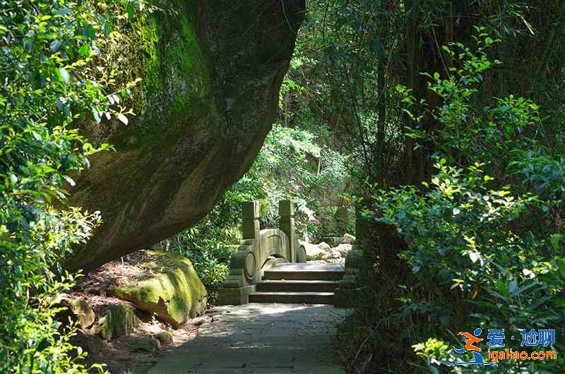 7座城市附近易爬山峰，城市里人的福利？