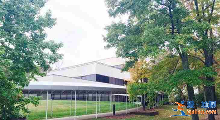 代媽跑了怎么辦,要住院嗎?? 代媽跑了怎么辦,要住院嗎??