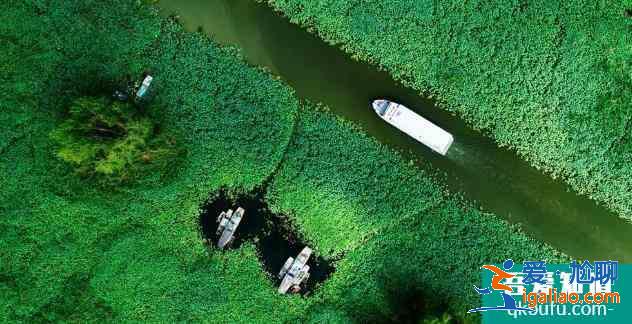 2021紅荷濕地免費(fèi)優(yōu)惠政策 免費(fèi)時(shí)間？