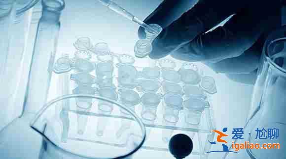 河南男同找人代懷生孩子,有知道的朋友告知下? 河南男同找人代懷生孩子,有知道的朋友告知下?