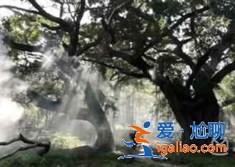 國內夏季最佳十大旅行目的地，避暑美景可兼得！？