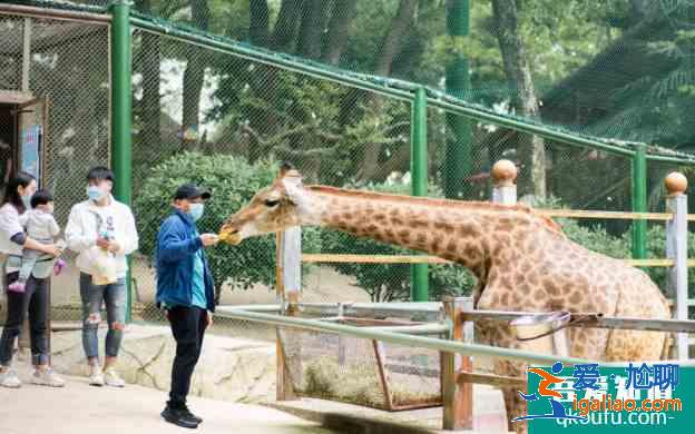 2021武漢春季惠民活動免費景區名單? 2021武漢春季惠民活動免費景區名單?