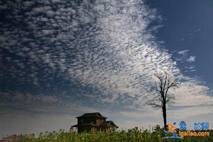 國內夏季最佳十大旅行目的地，避暑美景可兼得！？