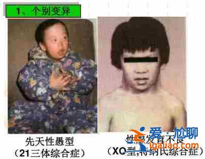 泰國代理孕母價格「專家團隊」？