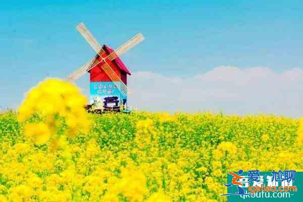 2021重慶秀山油菜花什么時(shí)候開(kāi) 附油菜花觀賞攻略？