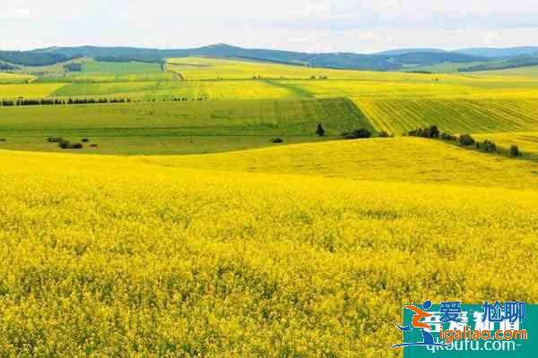 2021重慶秀山油菜花什么時(shí)候開(kāi) 附油菜花觀賞攻略？