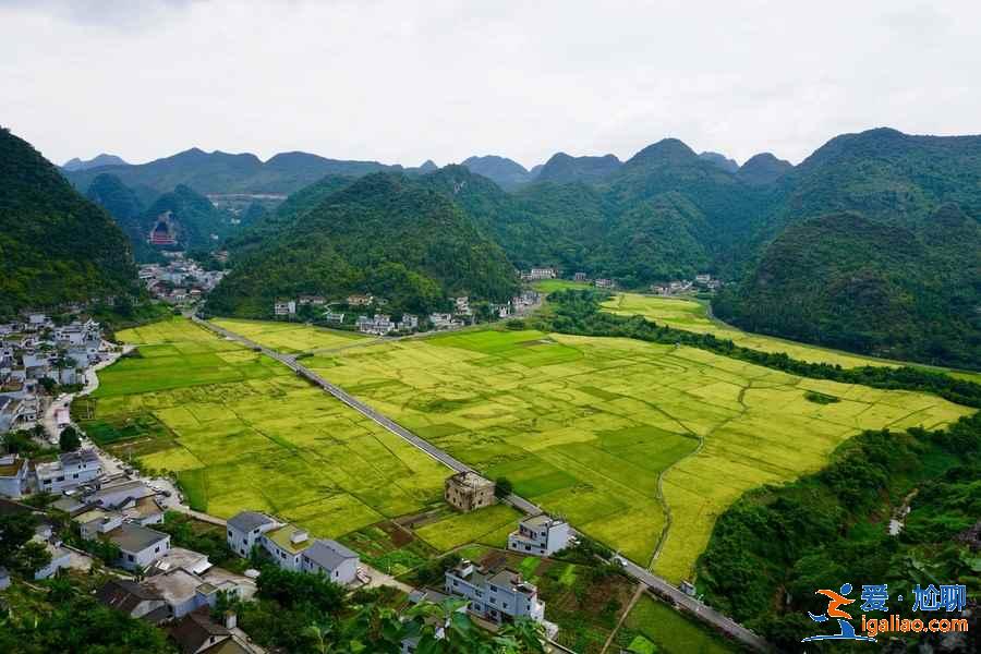 萬峰林怎么樣,萬峰林好玩嗎? 萬峰林怎么樣,萬峰林好玩嗎?