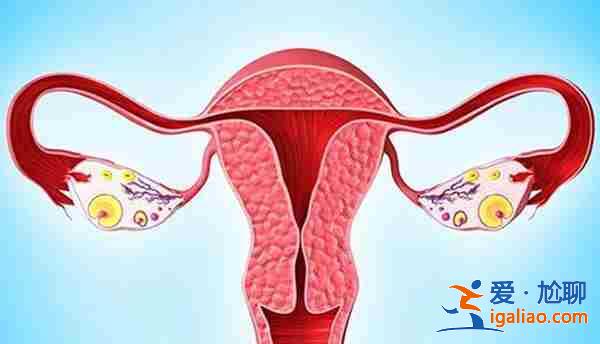 天津私人代媽-就懷上了孩子? 天津私人代媽-就懷上了孩子?