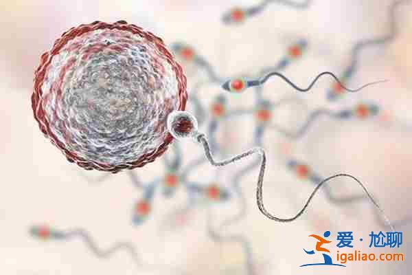 探索一下重慶三代試管包生兒子「嚴格挑選」？