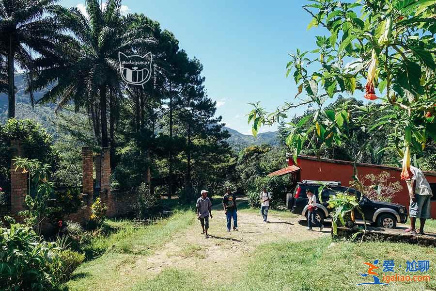 馬達加斯加有什么好玩的地方,馬達加斯加特色景點? 馬達加斯加有什么好玩的地方,馬達加斯加特色景點?