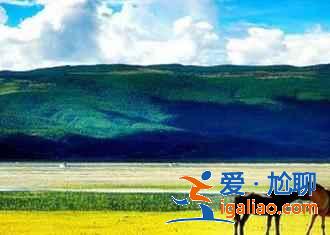 去拉市海騎馬多少錢，拉市海馬場(chǎng)如何選？