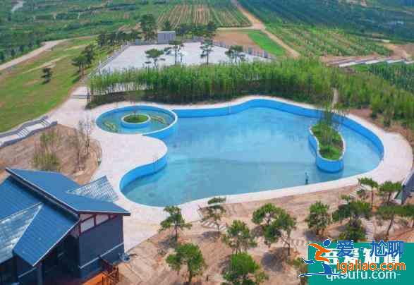 良心谷茶園怎么樣 泰安良心谷茶園介紹？