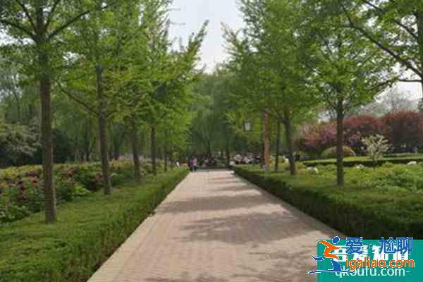 2021隋唐城遺址植物園首屆花朝節(jié)游玩指南？