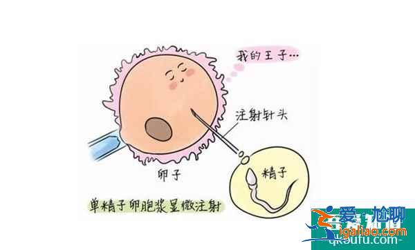 身體正常想要男孩能做試管嗎?？