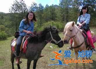 去拉市海騎馬多少錢，拉市海馬場(chǎng)如何選？
