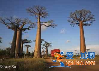 馬達加斯加有什么好玩的地方,馬達加斯加特色景點? 馬達加斯加有什么好玩的地方,馬達加斯加特色景點?