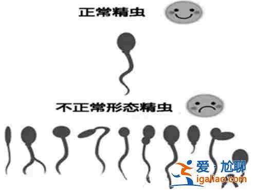 長春代懷代生孕，懷孕第十個月知識大全？