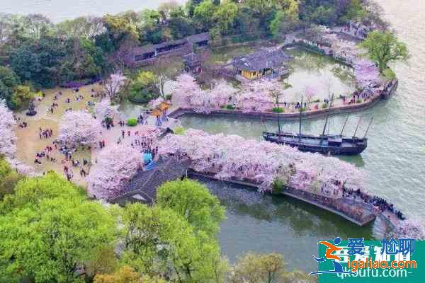 2021無錫黿頭渚櫻花節活動有哪些 黿頭渚櫻花節活動亮點？
