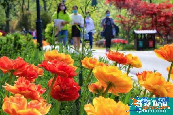 2021湖北值得去的園林有哪些 湖北園林推薦？